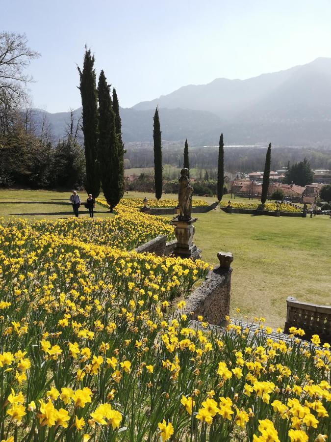 Giardino Leilighet Porto Valtravaglia Eksteriør bilde